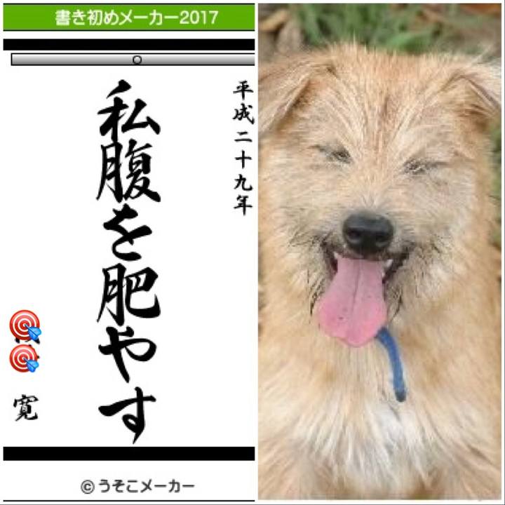 41134d96 8c99 43b3 8685 09d2e2be4f72