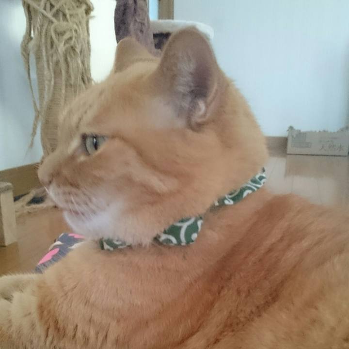 41137581 c8dc 48a3 8f02 026eeba7b86d