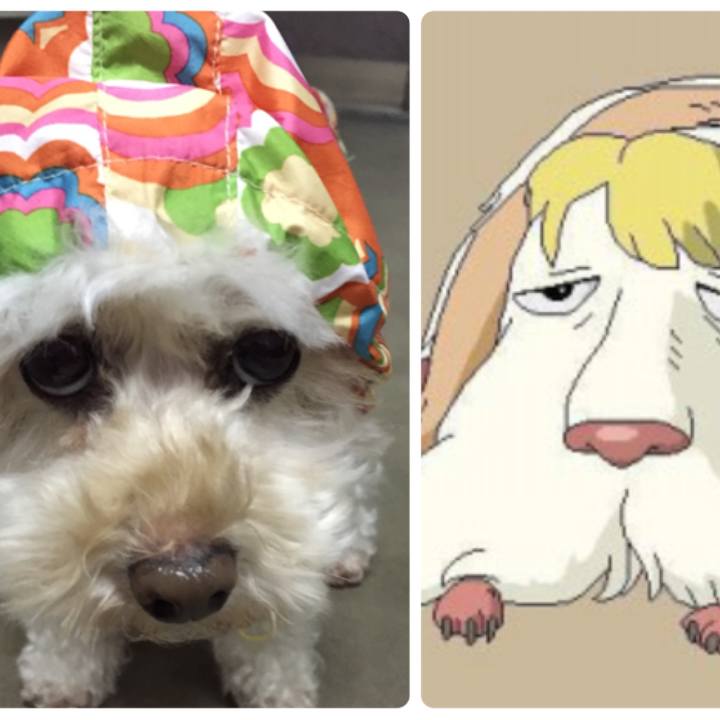 4114b872 445a 488e 8159 7d3f2f711198