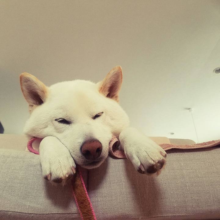 4114c88e de17 4fc0 abab 6f6f8ea510ab