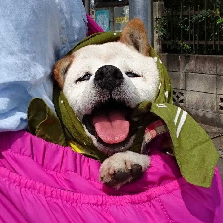 4114eaa7 a555 44e9 9190 e39f7eae5f72