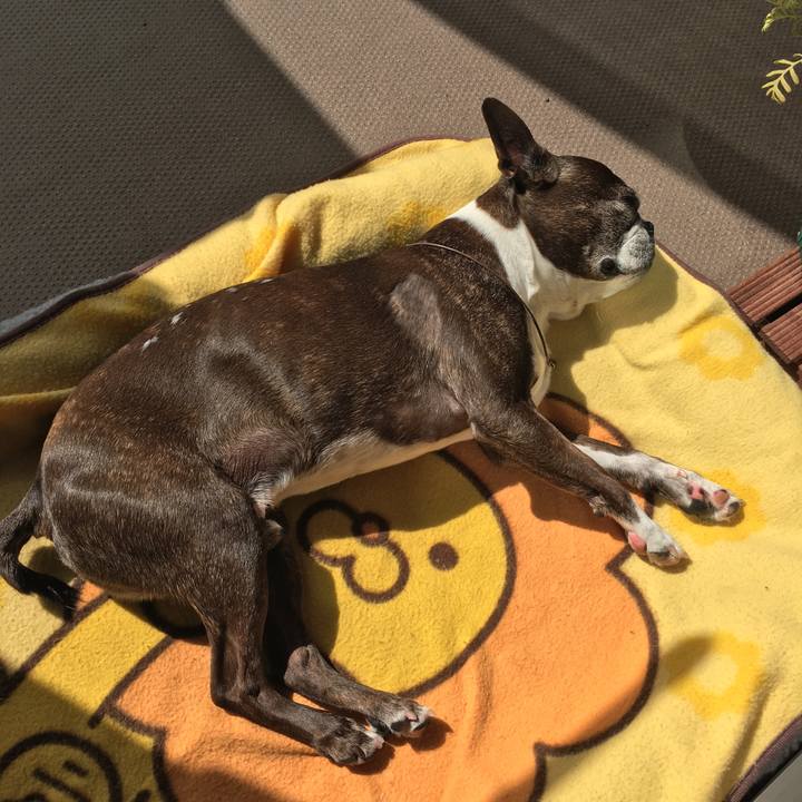 4114f1a1 bcd2 431c ab4c 6e2d969841f8