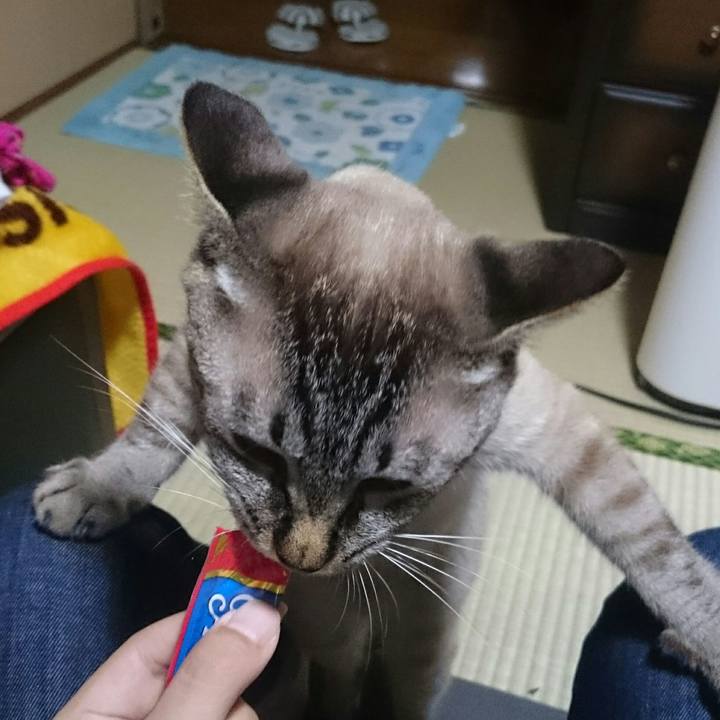 41164dcc ac56 4e9f bff3 2222926e4aee