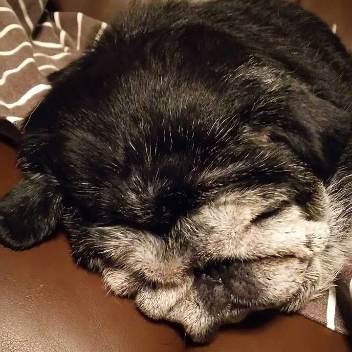 411677a4 4af3 435f 8bec 66599fdb246d