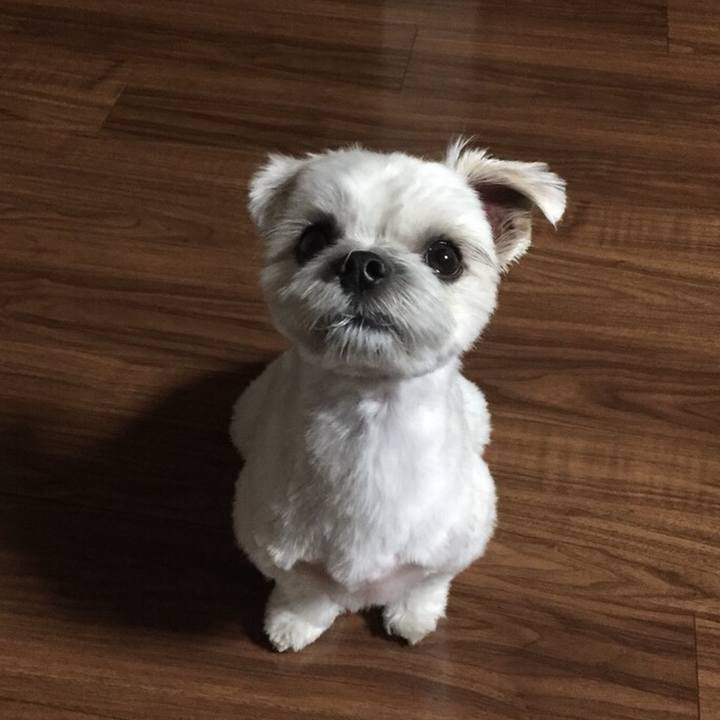 4116f760 5de8 4d42 96c6 19fa9e255530