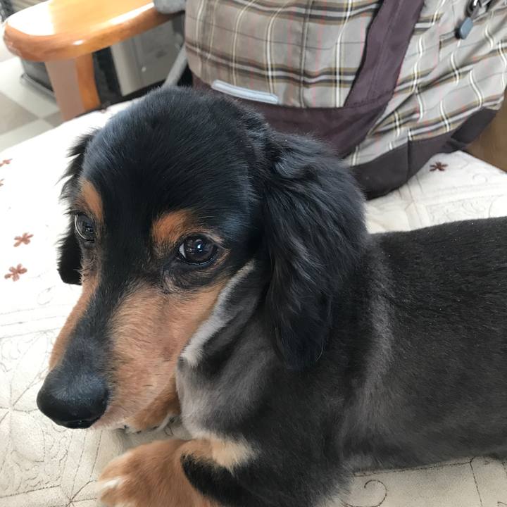 4117aa0c 41f3 4630 a14a fb8d1b0525d9