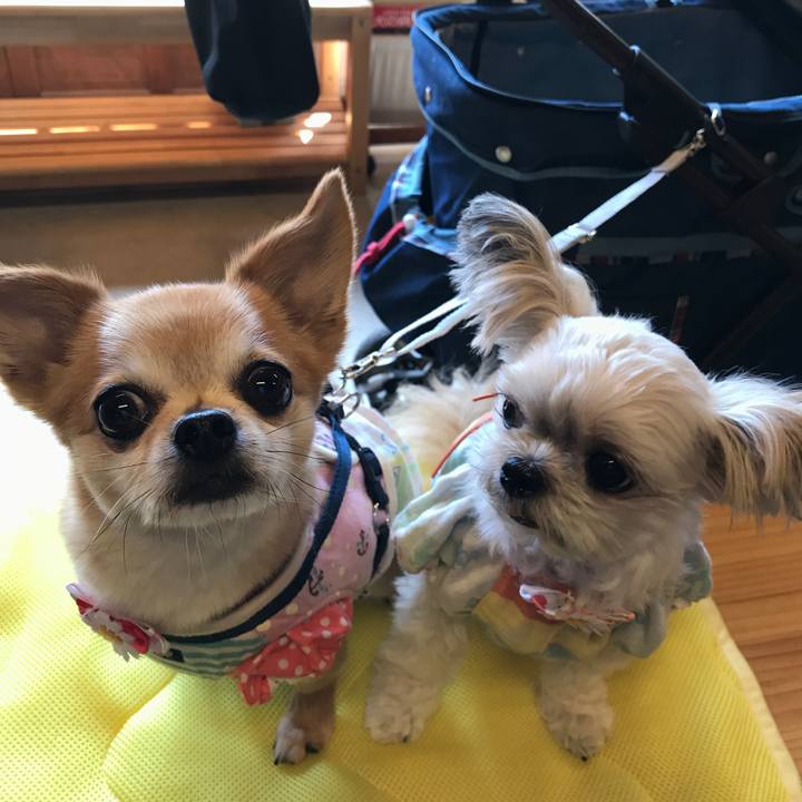 41184256 e138 41a6 aa8a bc7db8f1e595