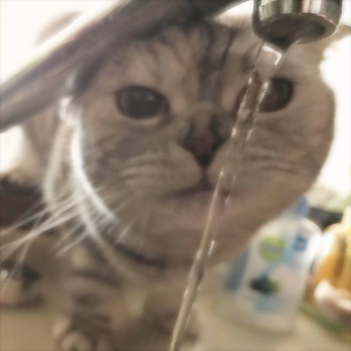 41188f7a 7fc3 4e06 b42f 332cf7e295e0