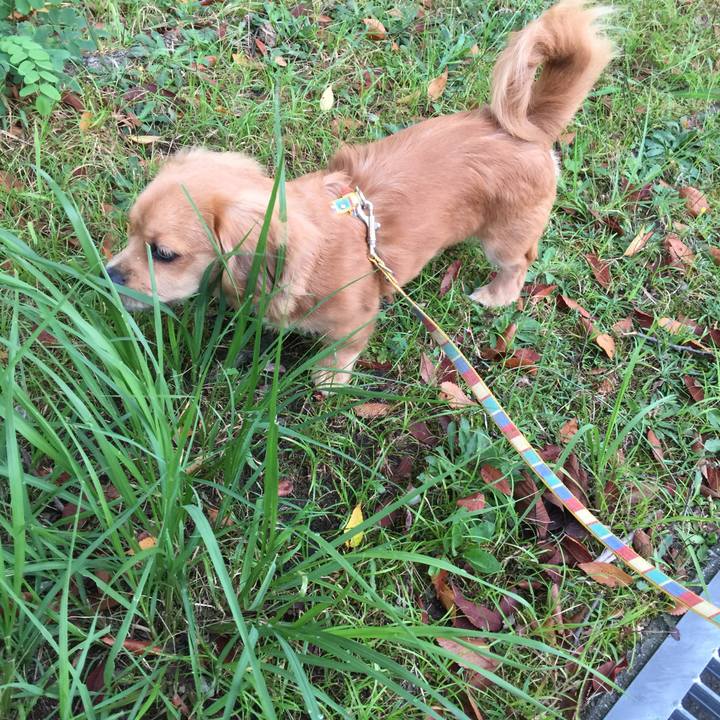 411892df 0fd6 4ddd 846e 71c23892faae