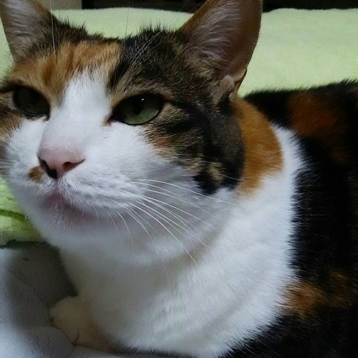 4118a2ea 8f11 44cc 967d 0b4dff414591