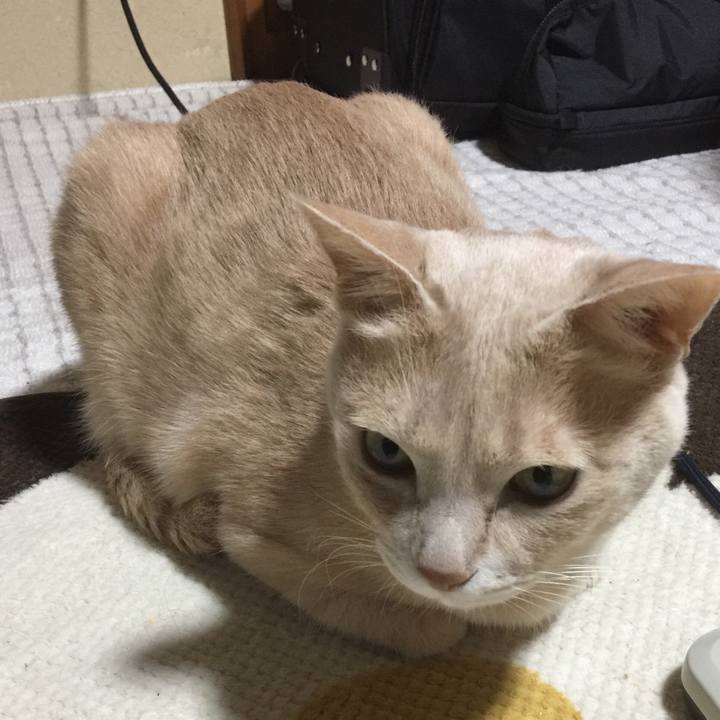 4118a4e0 f9dc 46a2 a84f b7b12d5f8084