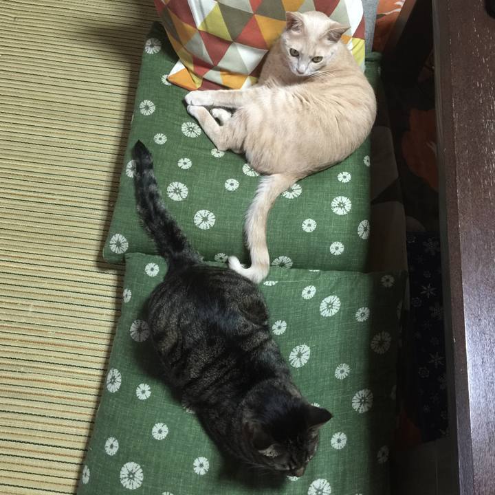 4118d865 7729 4ecc bba5 5173186f91a0