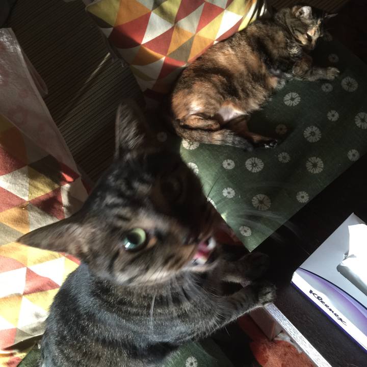 41190289 6085 4dbb aa51 738323003d78