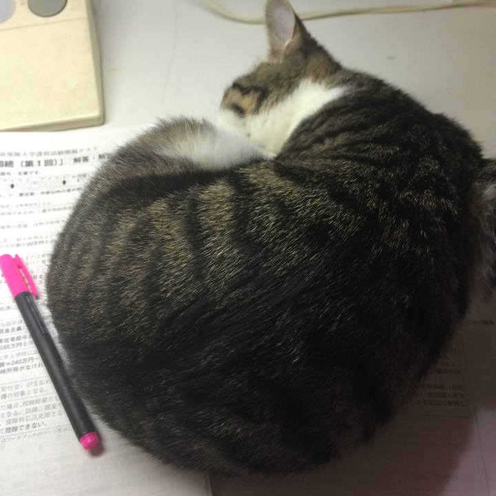 4119988a dcf1 434d 898d a0a6457bfe21