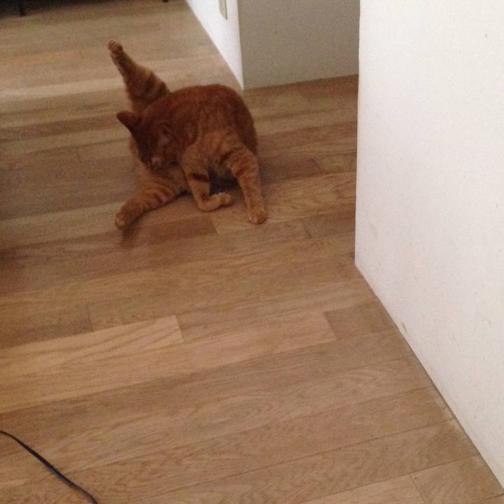 4119bac0 10e4 4964 976d 736bb0c4db10