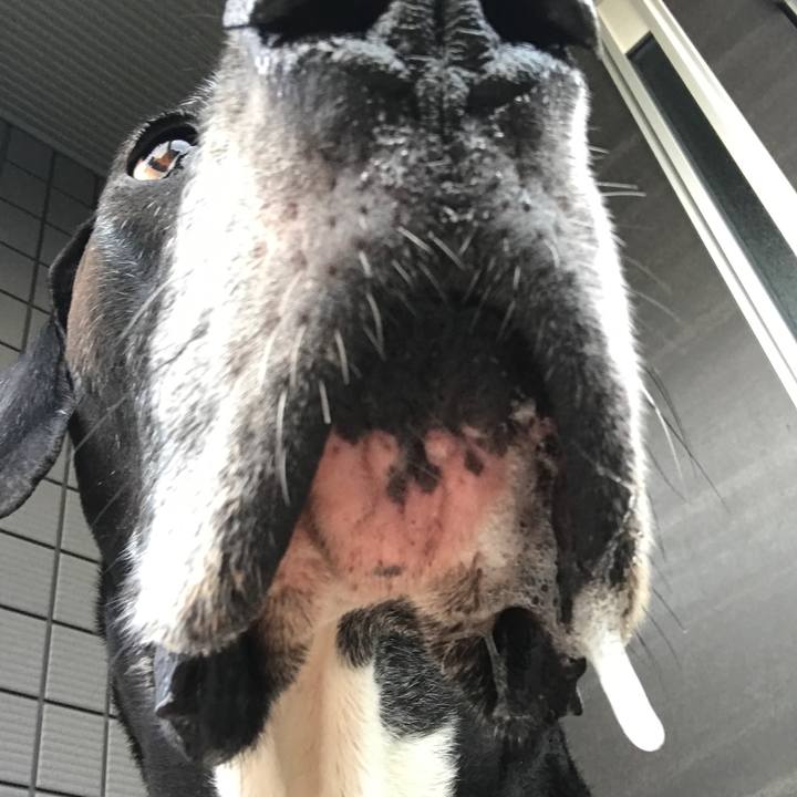 411a36a8 ccd5 4e70 b550 80d0fff562de