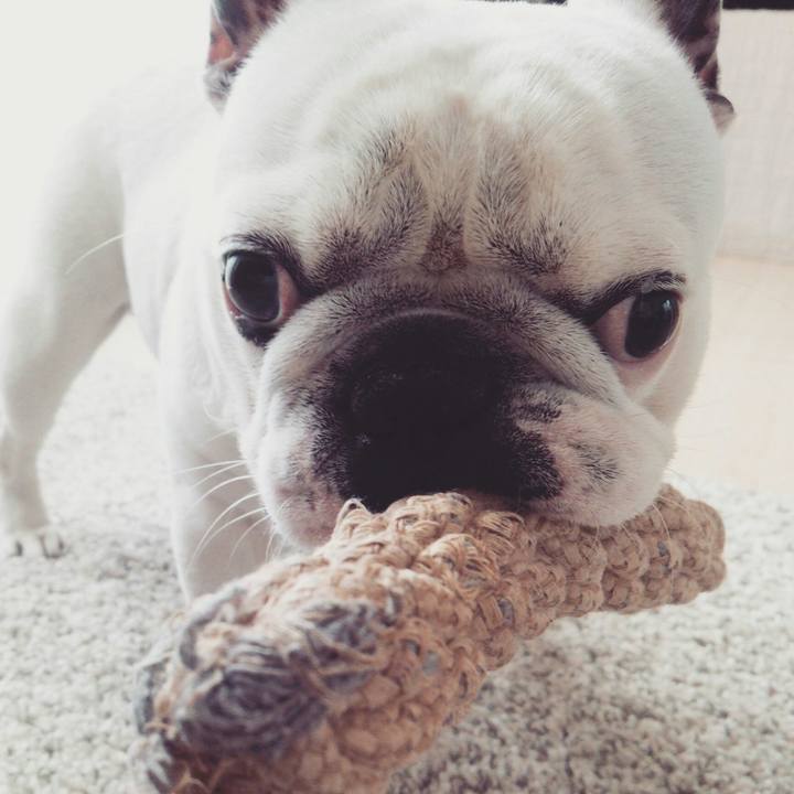 411b0a75 be93 4432 a63c 831f8cde92cd