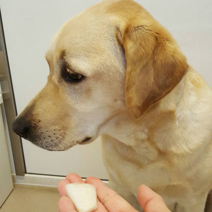 411b61dd 43f7 481c a173 ae57ad96c422