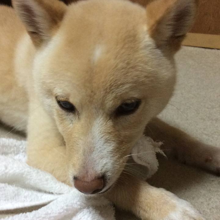 411c174f f2d8 42ce 8b86 d87460f467a4