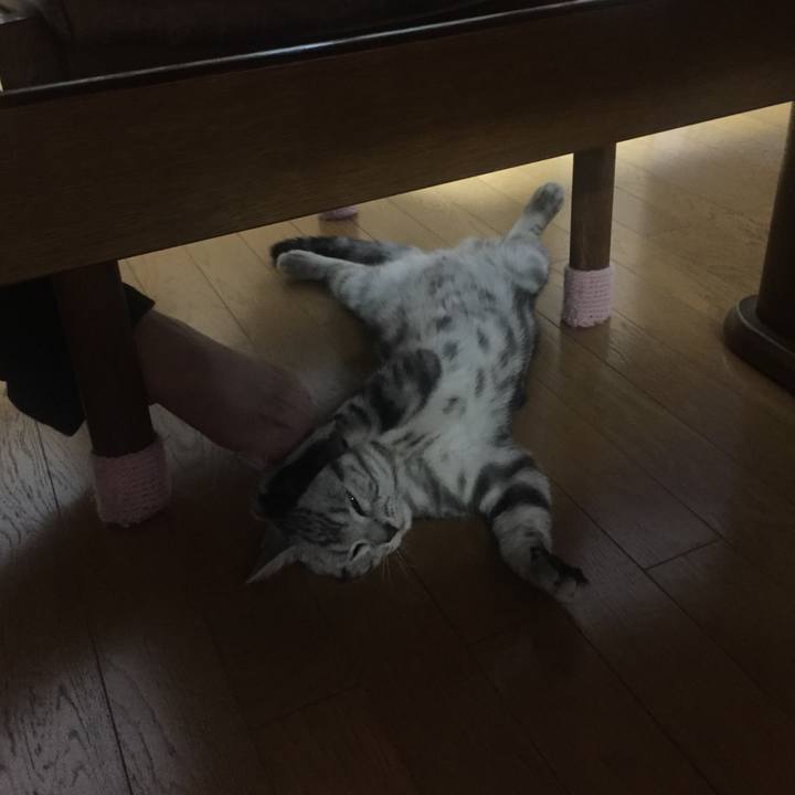 411c24af 0154 4232 a030 8d671f2796e4