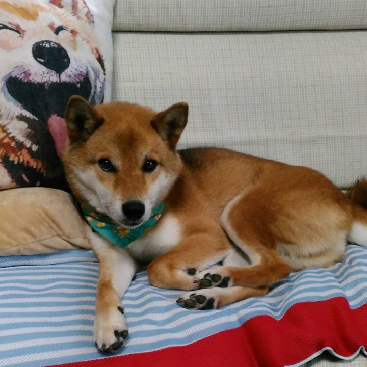 411c7bc9 11e7 443a 99ee 82c1d4ace26e