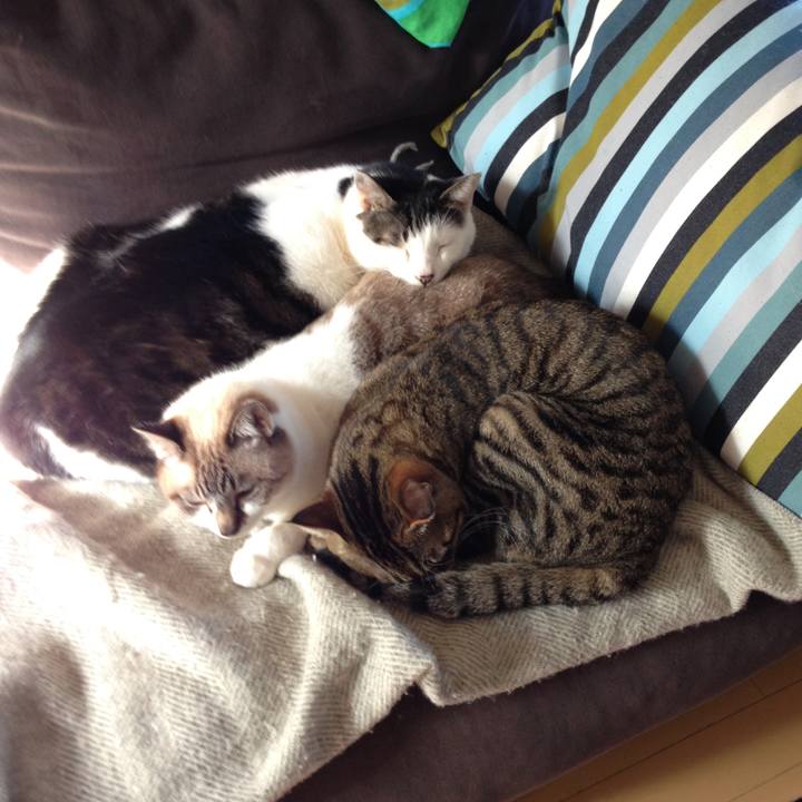 411d8ff9 bc54 4bd9 a58d 327f6e22bd26