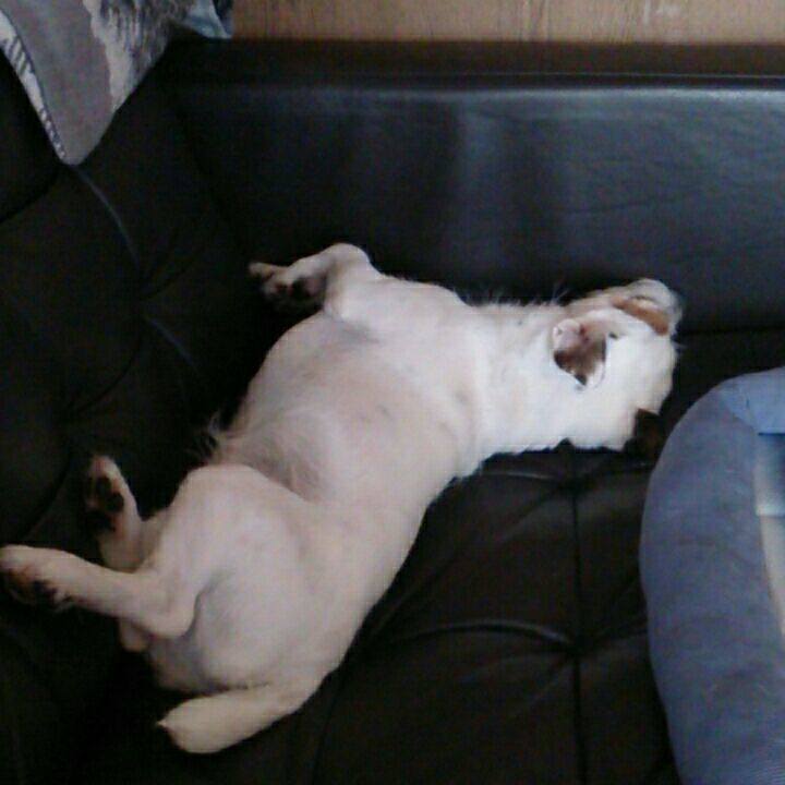 411ddd6c 3e7f 41b9 974e 51f1aaaa0073