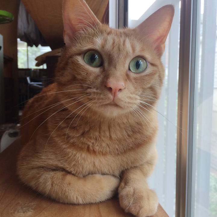 411e2656 0bd7 4013 a45d 98da2d6b212b