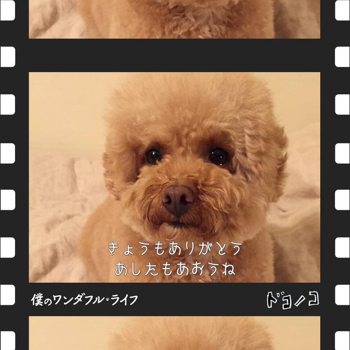 411ebc9f 75cc 42cd bcc9 4a877746faf3