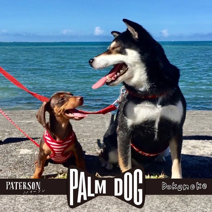 411f0912 b139 4f2f b9c2 fd3294989fad