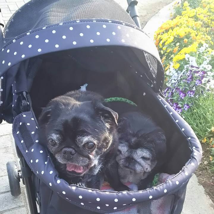 411fe17b 8fc5 4035 8c08 3b737fb3395e