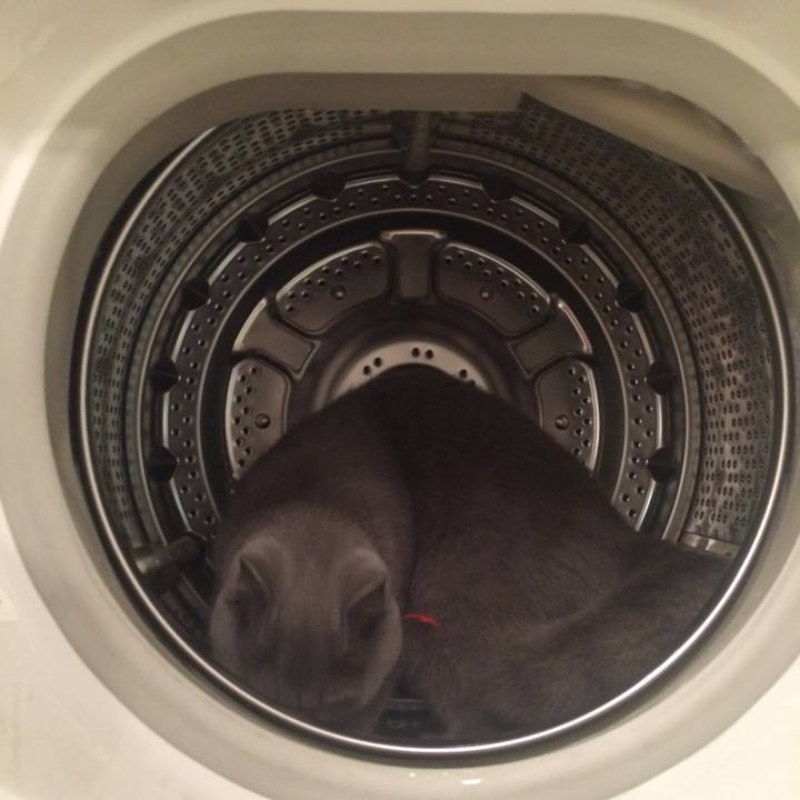 41209efd 97e5 41bb a142 e81e51f8a9da