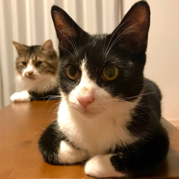 4120a870 6bd0 43db bf61 70b783f310f0