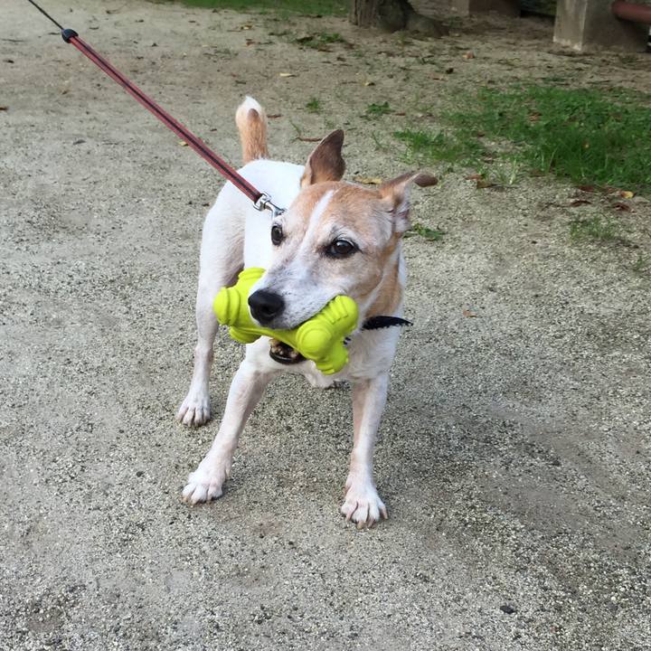 41213af1 eefd 4414 9731 40a05a87d9e4