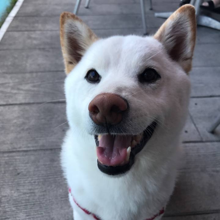 4121485a 838e 45d1 955c 641fb7211f05