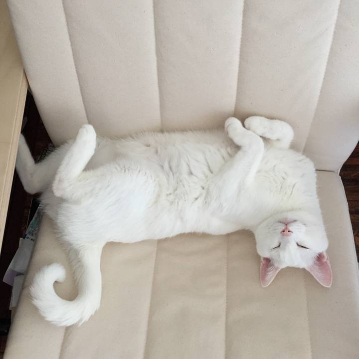 4121bcbf 7234 4223 996c b73f597531dc