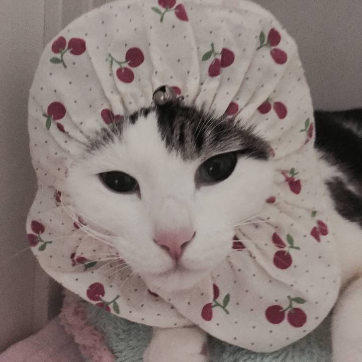 41221d8f 6e3c 4d2d 9936 7cfa9c873eeb