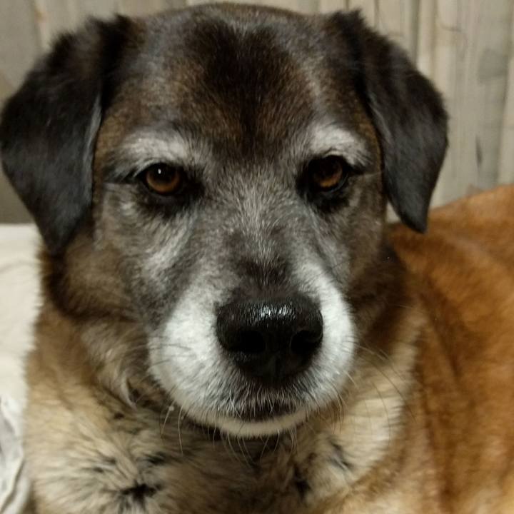 4122504f 8467 4483 9be1 b8f703b06d11