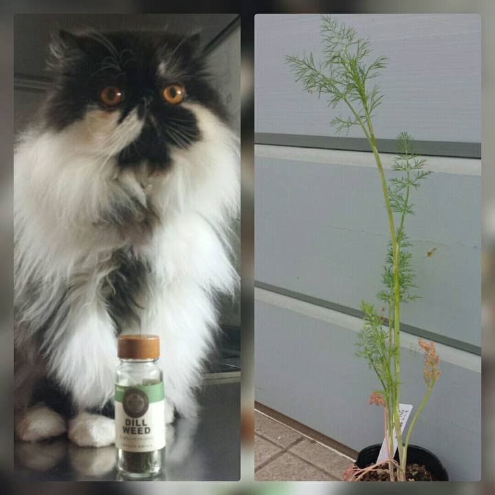 4122522b 60f3 47b9 af5f 76eea7d11b17