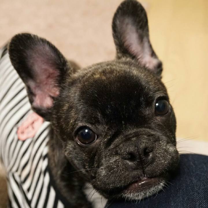 41228ea1 308f 4a35 9a4f 716d4a0a3ed9