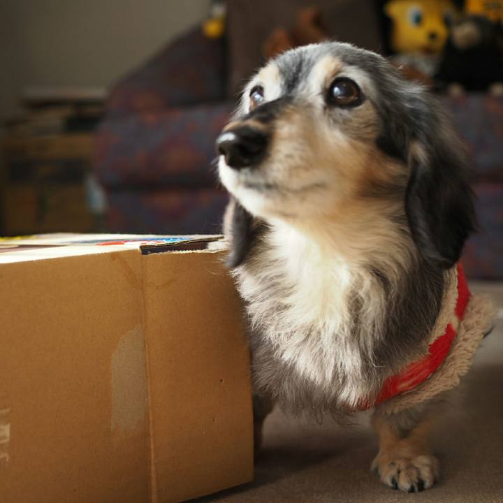 41228f9d 83d6 4042 ba62 b3a3ddb572b7