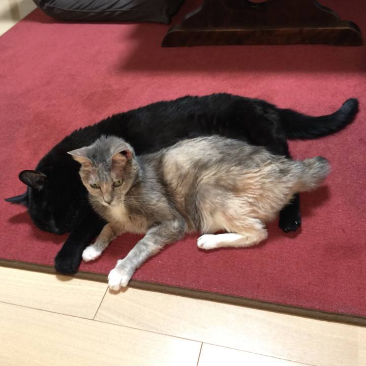 41234f9d 659b 4f11 a315 b2974e5c37e4