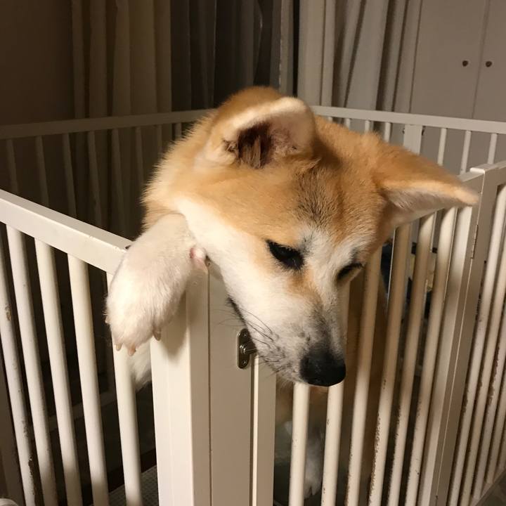 412414b0 f352 47ed 9c9c c11df1be9a0f