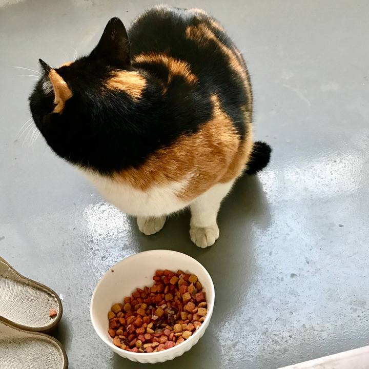 41251e71 5438 4eb0 99ba 211cb4eb6bba