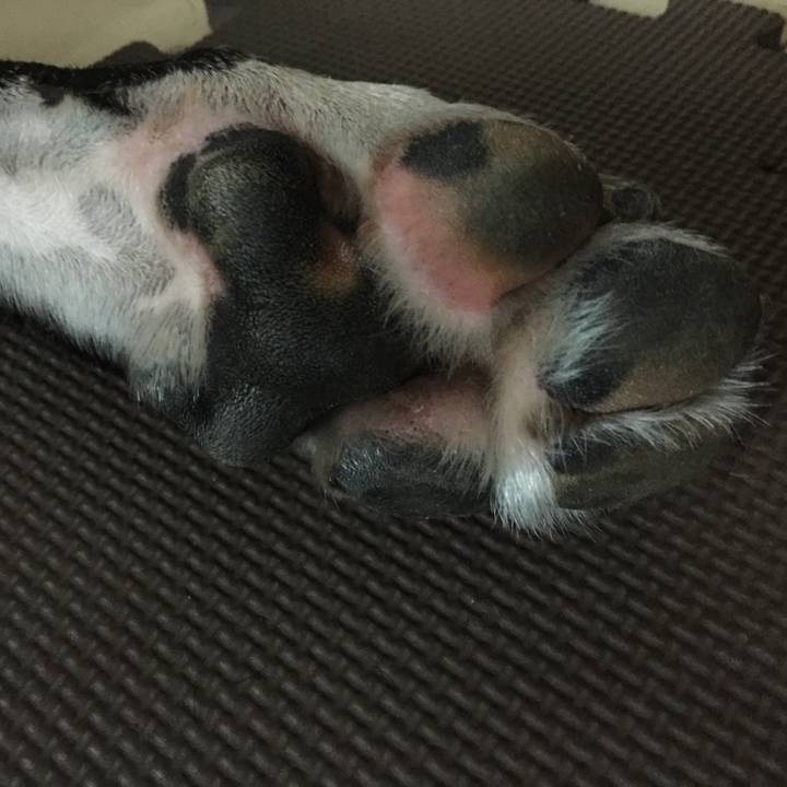 41252526 e542 4f7a 83d6 64706f799b17