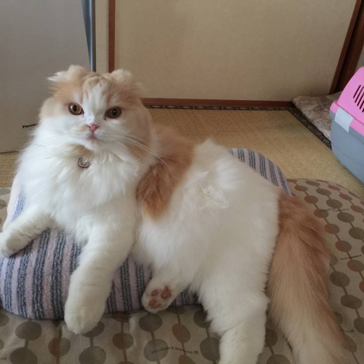 41254433 15f9 483f 95ff ba6f56c60fbb