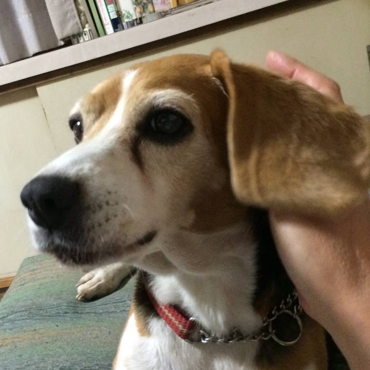 41262ca6 d796 44c0 a340 2914f7ab229b