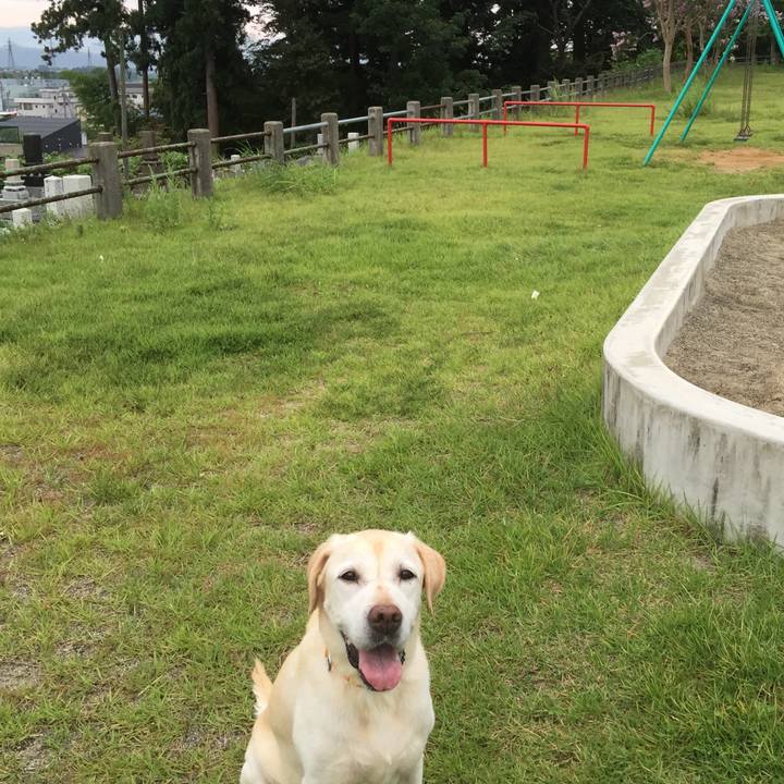 412656ae 6206 4f2a 9b1b 55e8b33b16dd