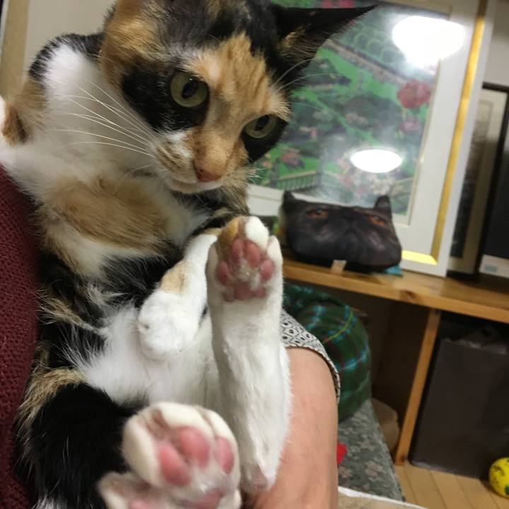 4126cd7a 255a 40c1 9f37 60cbed0c5274