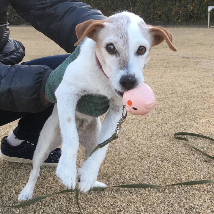 41275bb9 83fe 4d4b a9f9 7aa06d7c47ec